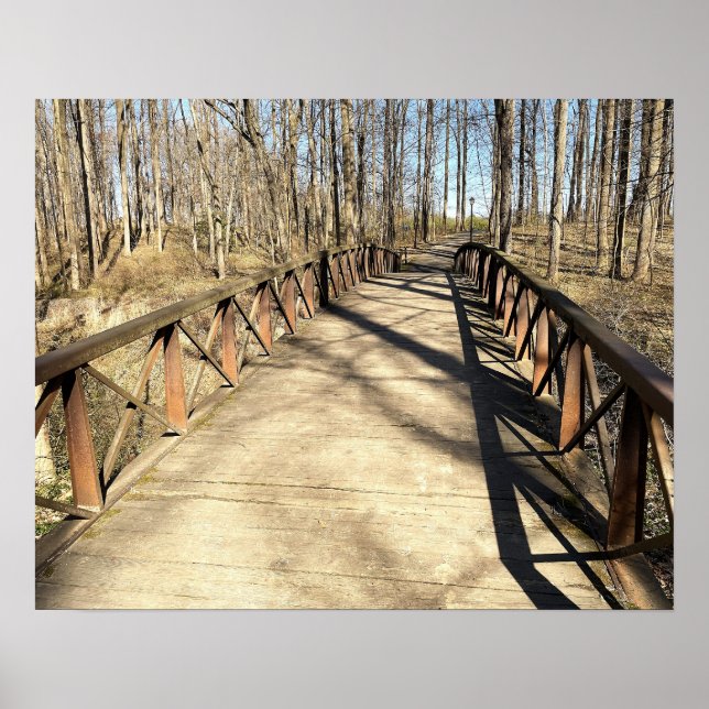 Poster de Walking Bridge (Devant)