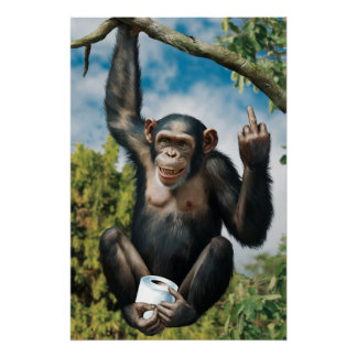 Poster de WC amusant