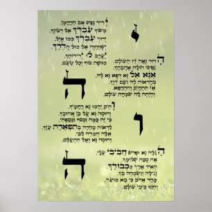 Poster de Yedid Nefesh