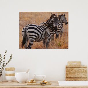 Poster de Zebra au Kenya