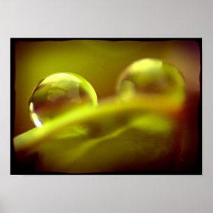 Poster d'eau