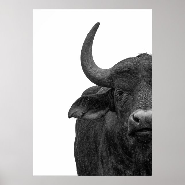 Poster d'eau Buffalo noir blanc moderne (Devant)