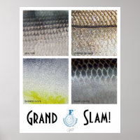 Poster d'eau salée Grand Slam