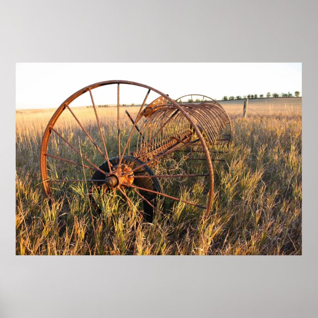 Poster Débrancher Rake (Devant)