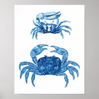 Poster Décor côtier de crabes bleus Imprimer n° 3