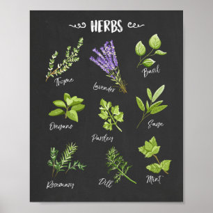 Poster Décor de cuisine d'art de cuisine d'art d'herbes