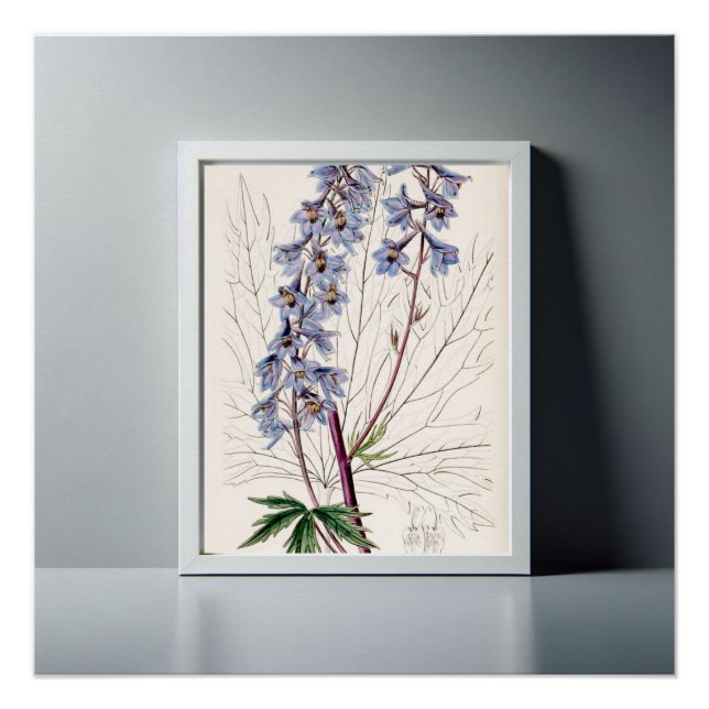 Poster Décor maison en Delphinium gracieux (Devant)