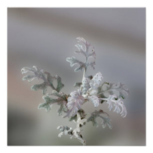 Poster Décorations naturelles de Noël