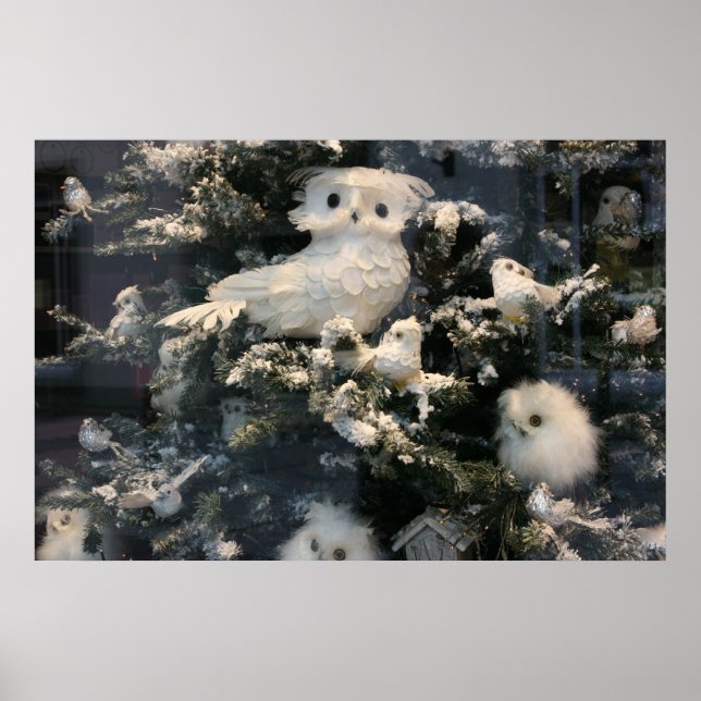 Poster Decorative owl on christmas tree (Devant)