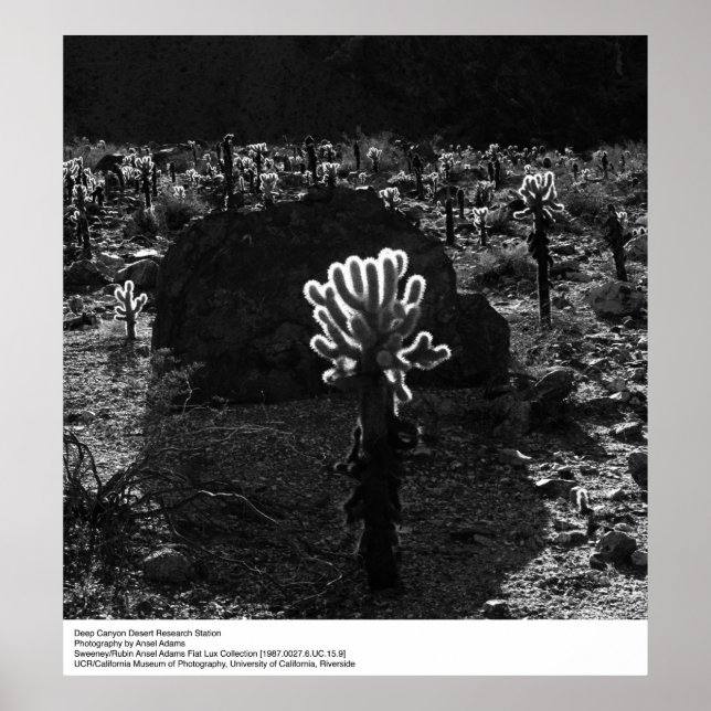 Poster Deep Canyon Desert Research Station par Ansel Adam (Devant)