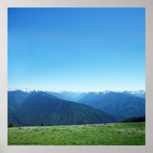 Poster Deer et les Jeux Olympiques