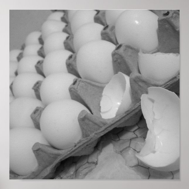 Poster d'eggies (Devant)