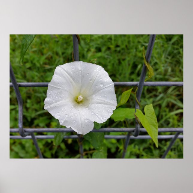 Poster dehors sous la pluie (Devant)