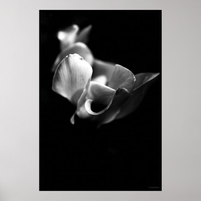 Poster délicat (Devant)