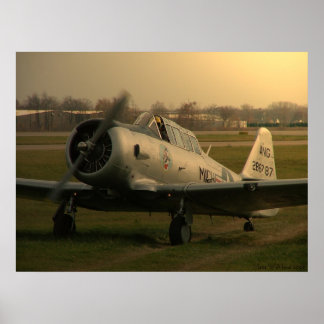 Poster Démarrage texan