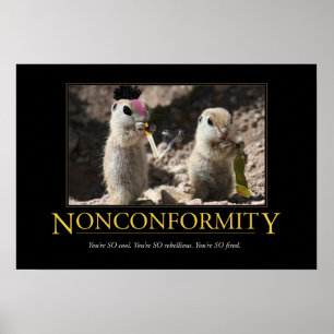 Poster démotivationnel : Non-conformité