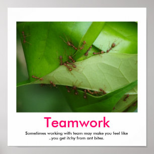 poster démotivationnel TEAMWORK