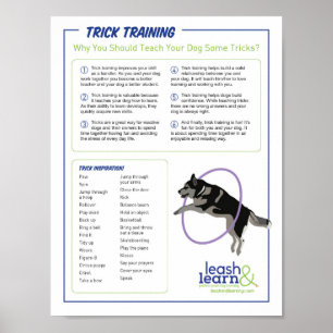 Poster d'entraînement Dog Trick