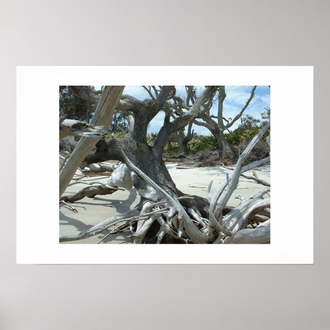 Poster Dérive (Devant)