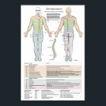 Poster Dermatomes, Myotomes et DTR<br><div class="desc">Montre le motif dermatome des nerfs cervicaux, thoraciques, lombaires et sacrés. Un dermatome est une zone de peau qui est principalement fournie par un seul nerf de la colonne vertébrale. Il y a huit nerfs cervicaux (C1 étant une exception sans dermatome), douze nerfs thoraciques, cinq nerfs lombaires et cinq nerfs...</div>