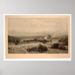 Poster Dernier du Buffalo Bierstadt (0137A) - Restauré