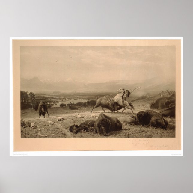 Poster Dernier du Buffalo Bierstadt (0137A) - Restauré (Devant)