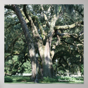 Poster des 4 saisons-été