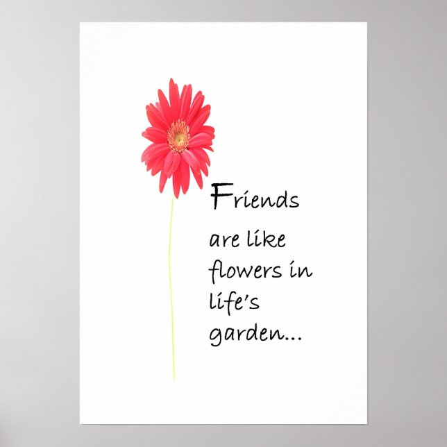 Poster des amis (Devant)