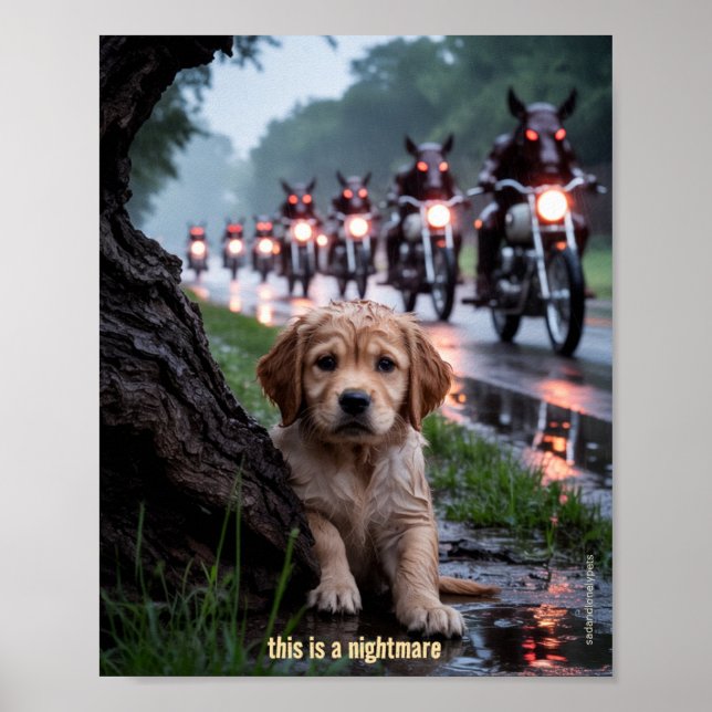 Poster des animaux de compagnie solitaires et tris (Devant)