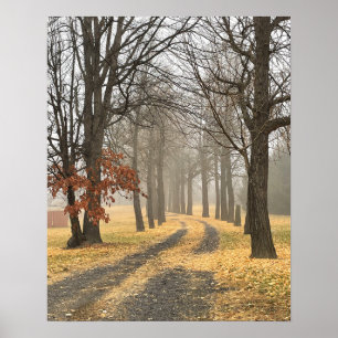 Poster des arbres d'automne