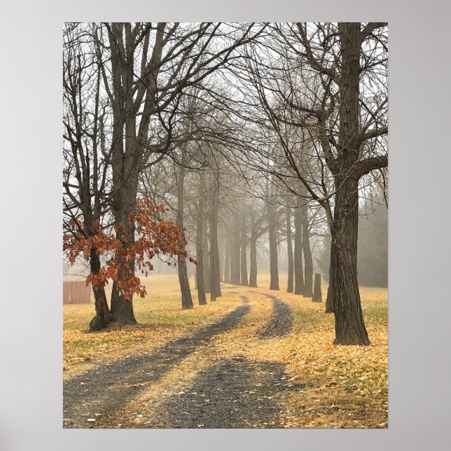 Poster des arbres d'automne (Devant)