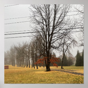 Poster des arbres d'automne