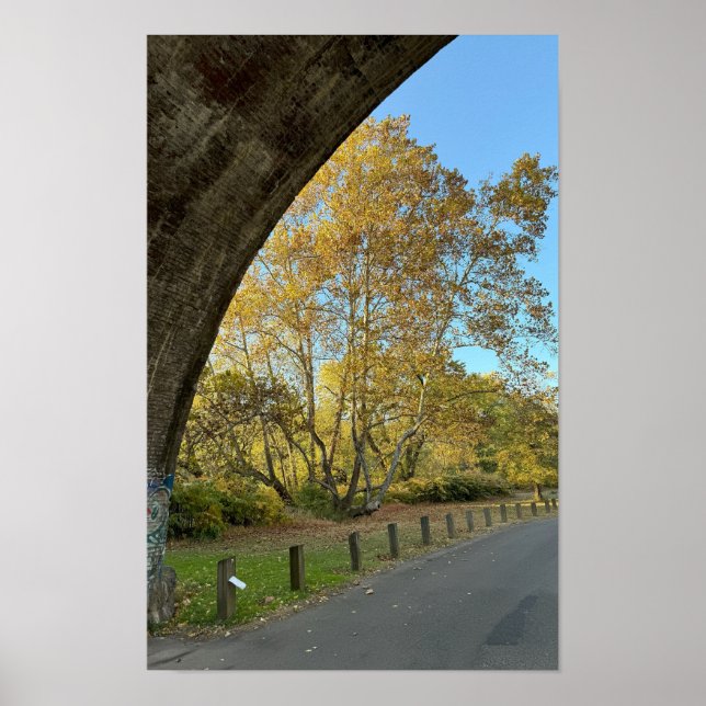 Poster des arbres d'automne jaunes (Devant)
