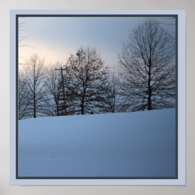Poster des arbres d'hiver pittoresques (Devant)