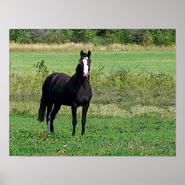 Poster des baisers (Devant)