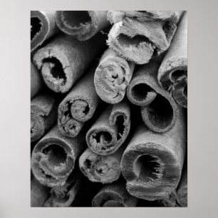 Poster des bâtons de cannelle