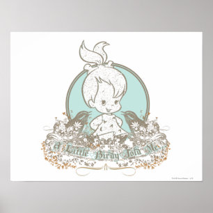 Poster Des Cailloux Un Peu Birmans M'A Dit