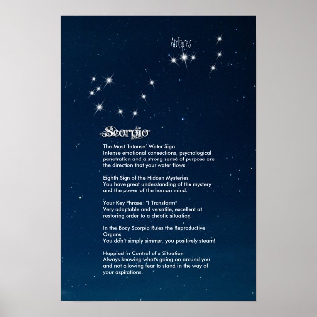 Poster des caractéristiques du scorpion (Devant)