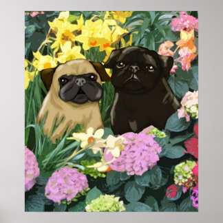 Poster des Carlins de printemps par Amy Cappelli