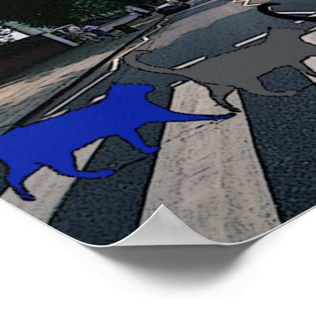 Poster des chats Abbey Road (Coin)