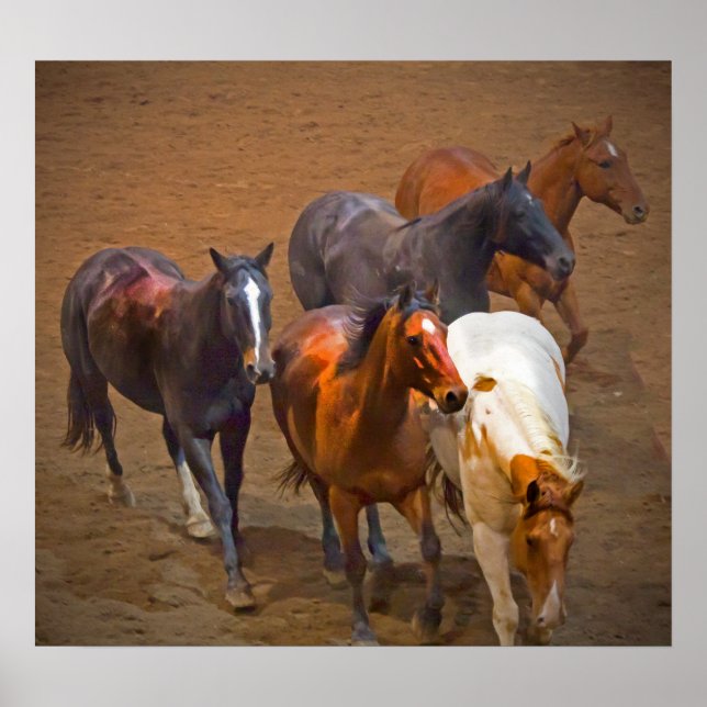 Poster des chevaux (Devant)