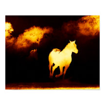 Poster des chevaux noirs et d'or