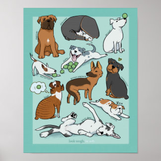 Poster des Chiens "pas durs" - 11x14po
