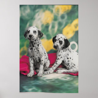 Poster des chiots dalmate