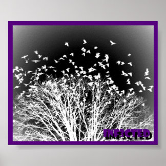 Poster des corbeaux