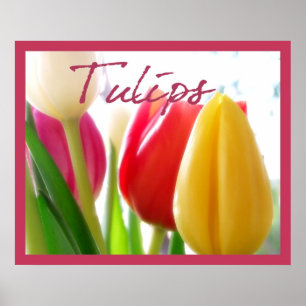 Poster des couleurs Tulip