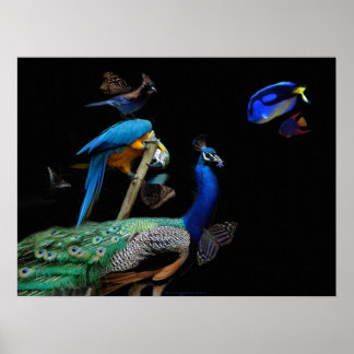 Poster Des créatures éblouissantes