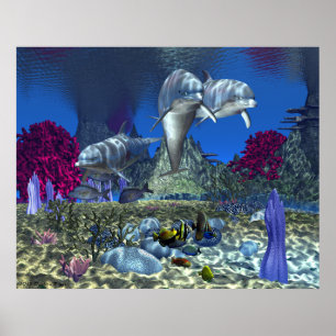 Poster des dauphins de 30 po x 24 po