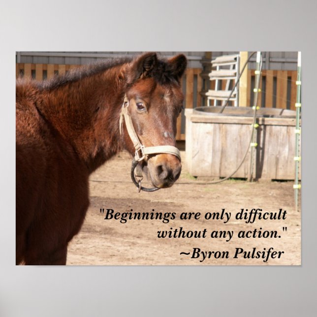 Poster des débuts (Devant)