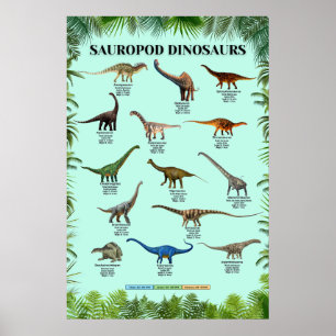 Poster des dinosaures de Sauropod